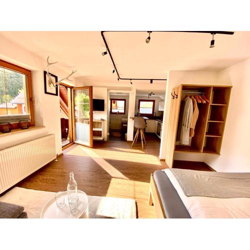 Haus Sonnleitner Studio Rittisberg