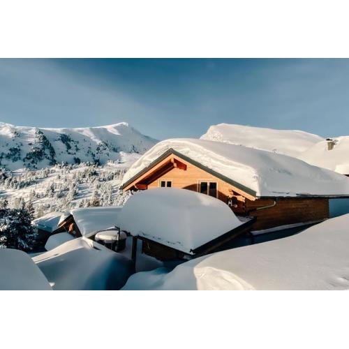Heidi Chalets Falkert Heidialm - Chalets Bergwinter