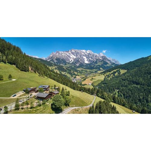 Highking Chalet Grünegg