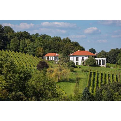 Hirschmugl Domaene Seggau GmbH