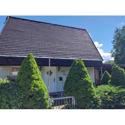 Holiday home in Bad Mitterndorf - Steiermark 41125