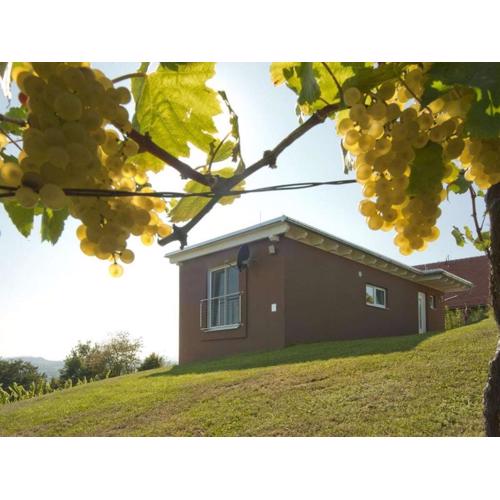 Holiday home in the vineyard Das Nussberg