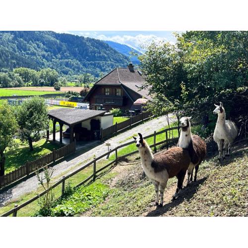 Holiday Home Lama by Interhome