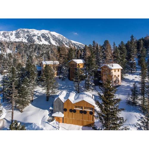 Hollmann am Berg Ski-in Ski-out
