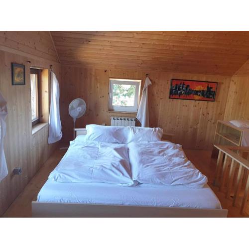 Homestay Sleepy Traveler