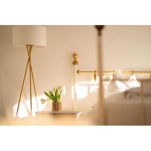 homy Central City Oasis in Dornbirn