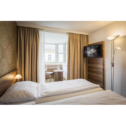 Hotel Enziana Wien