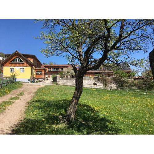 Hüdahof Niemtal