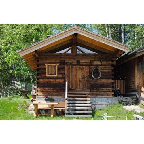 Hüttenurlaub in der Goldwäscherhütt in Zell a See by FeWo-Planrhütte Nähe
