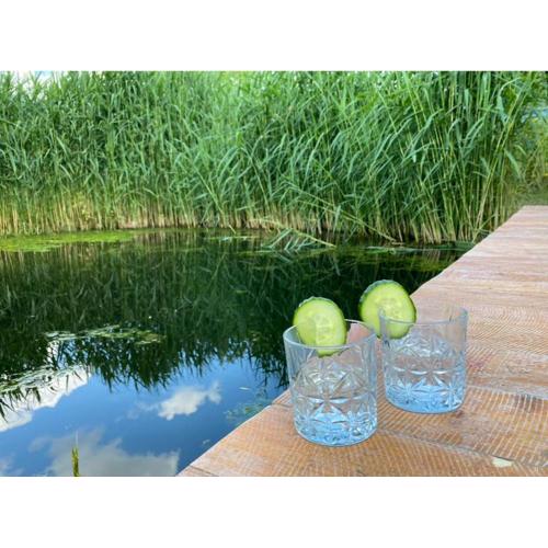 Idyllisches Häuschen am Teich - Nähe Geinberg