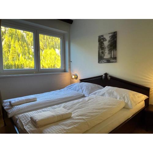 International House Sölden Apartment mit 2 Schlafzimmern ZW 7