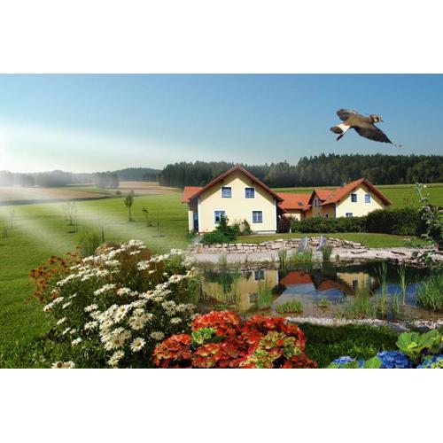 Kibitzhof