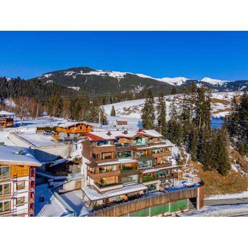 Kitzbüheler Alpenlodge Top A2 und A3