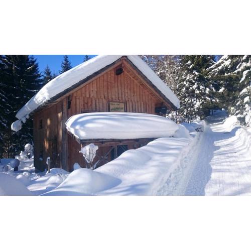 Knödl-Alm Waldhäusl