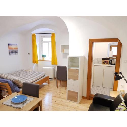 Komfortable Wohnung mit Garten im Zentrum von Graz