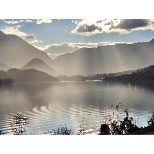 Ladner am See