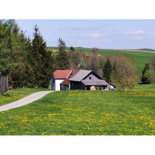 Landhaus auf der Alm