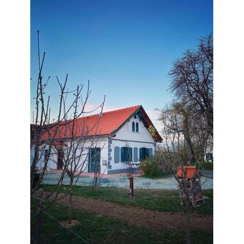 Landhaus Schaller im Südburgenland