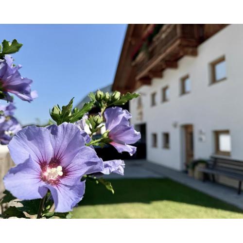 Landhaus Waldhart