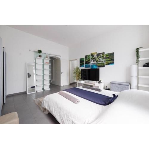 Large Modern City Apartment