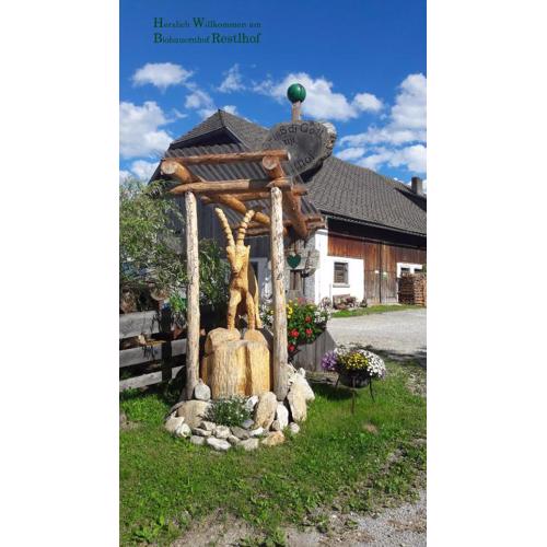 Lassacher Biobauernhof