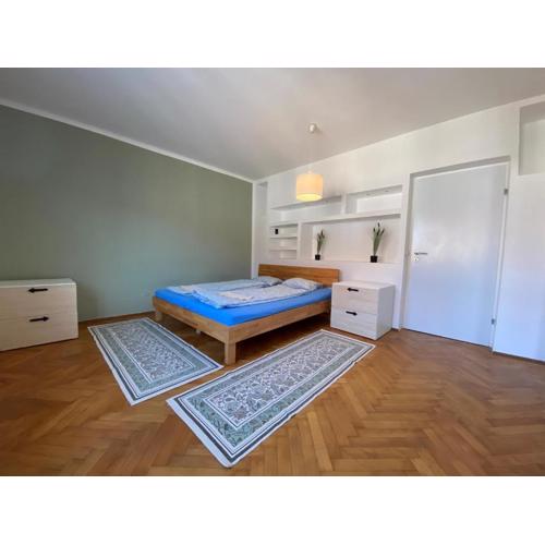 Living (82 m²) in the heart of Graz