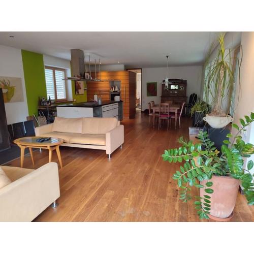 Loft mit Kamin und Whirlpool