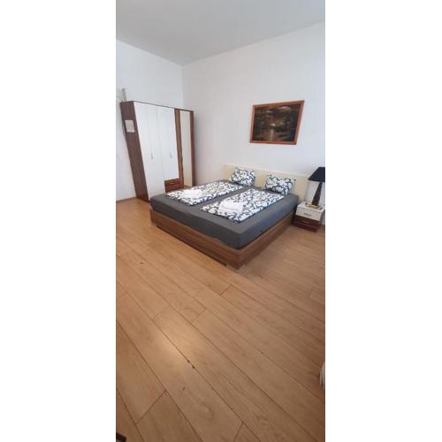 Lovely 1BR Apt in the Heart of Vienna