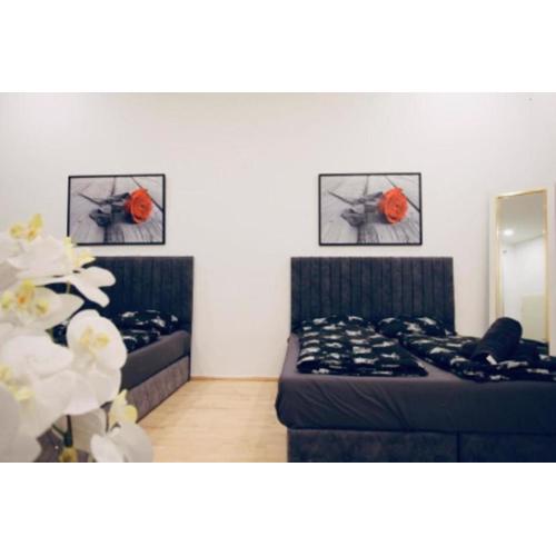 Lovely 2BR Apt With Modern Amenities Near Augarten