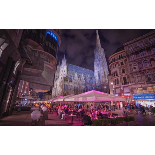 Luxury City Apartment Downtown Vienna