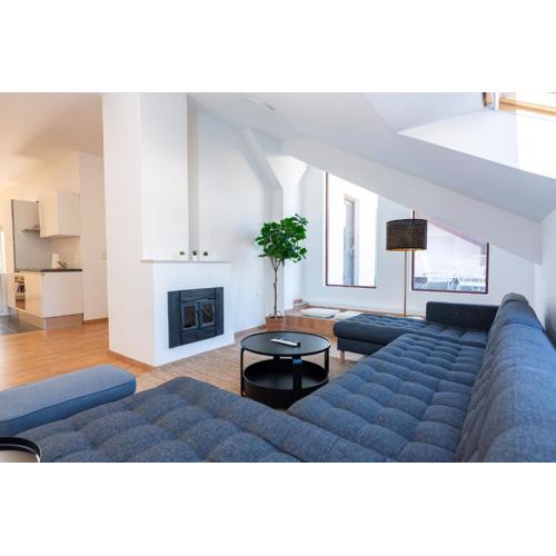 Luxury Penthouse - Augarten