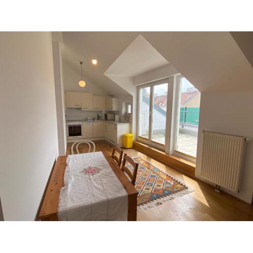 Luxury Penthouse near Metro, Train Station and 15 mins Center