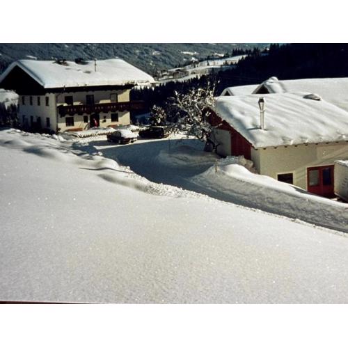 Luxus-Apartment-Vorderreit Gut