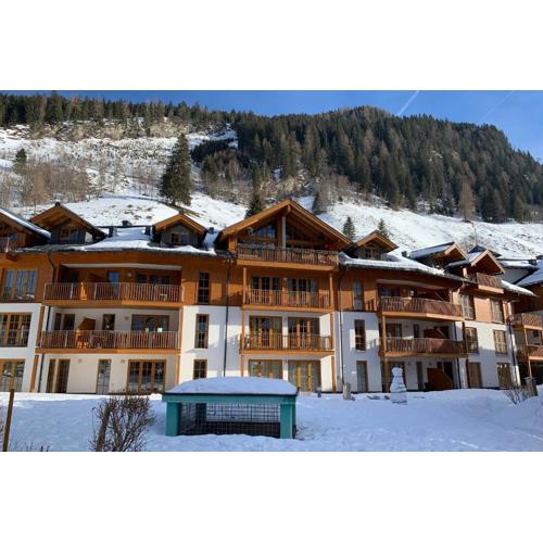 Martina 1 by SMR Rauris Apartments - inc Spa and near Gondola