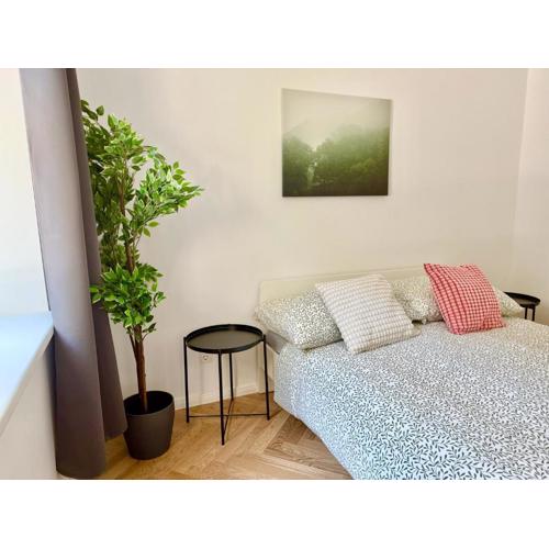 Modern Central Ground Floor Apartment