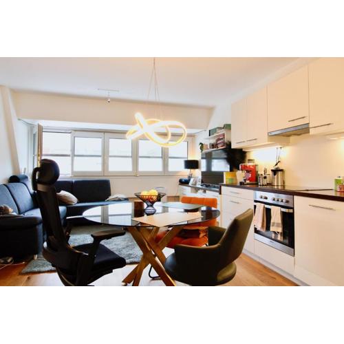 Modern rooftop APT Vienna