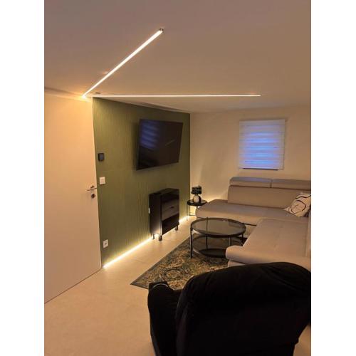 Modern room with terrace