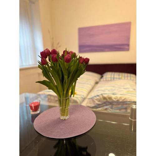 Modern Studio in the Heart of Vienna - Steps from the Opera