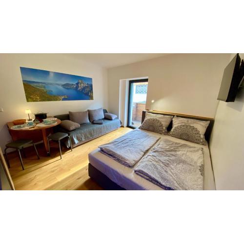 Modernes Apartment am Traunsee - See, Berge, Fitness & Parkplatz