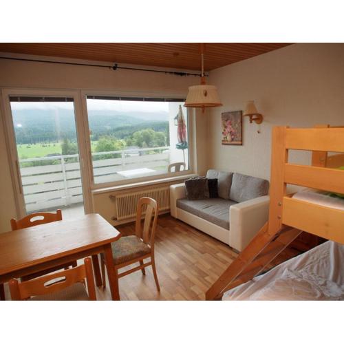 Mountain View Apartment