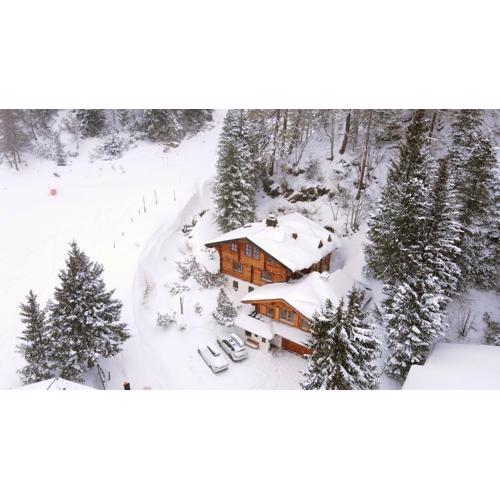 MOUNTAINRANGER - Lodge - ski in & ski out