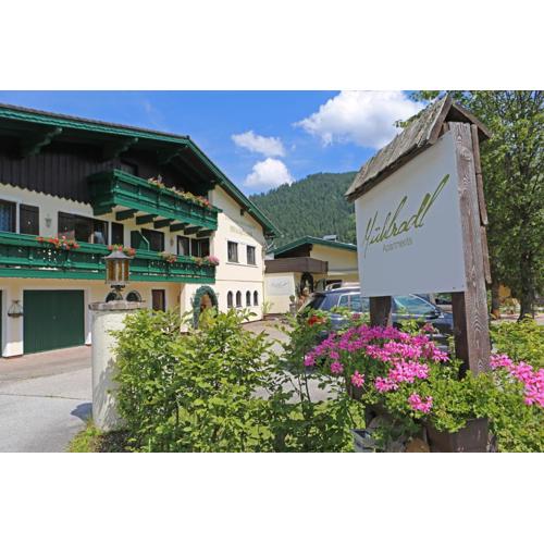 Mühlradl Apartments Gosau