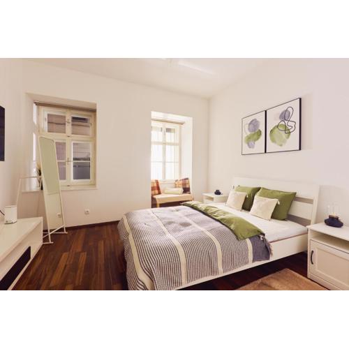 Neat 2BD Apartment in Central Vienna Walking Distance to 1 District