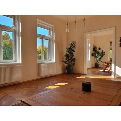 Neu renovierte Altbauwohnung im Herzen von Steyr 100qm