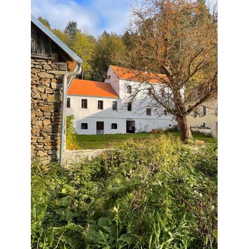Neu renovierte Mühle, Einzellage im Waldviertel