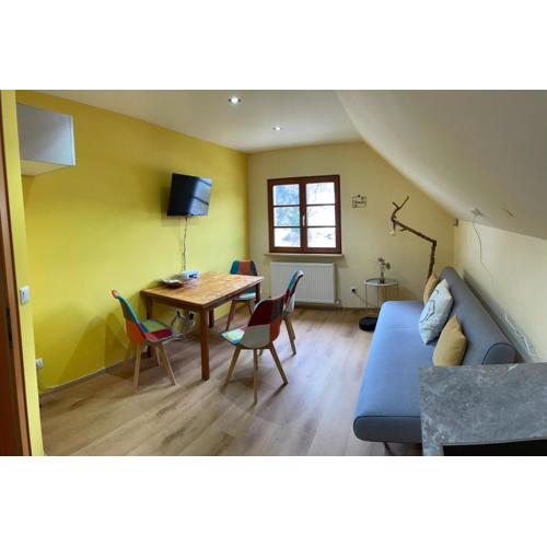 Neu renoviertes 2Zi Appartment im DG