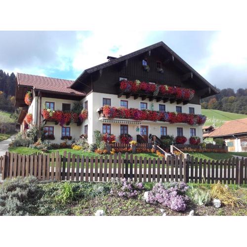 Nussbaumer am Irrsee