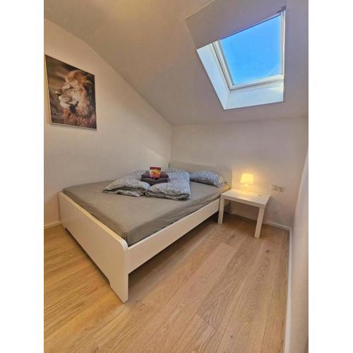 Old Town Modern Charm Apartment