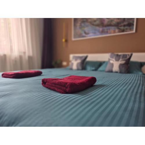 OTILIA apartment