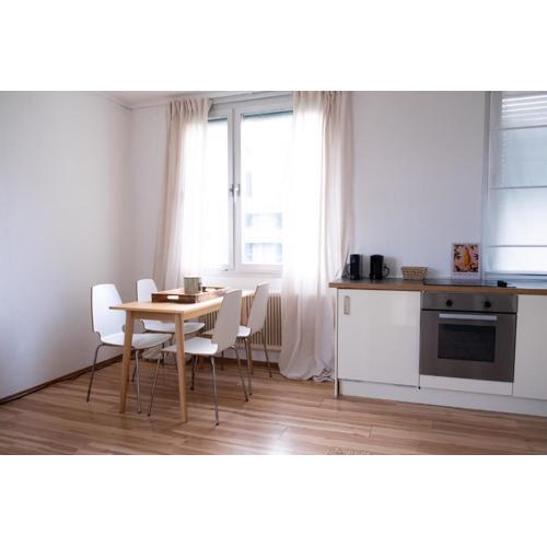 Panoramic Modern City Apartment